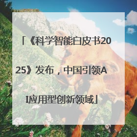 《科学智能白皮书2025》发布，中国引领AI应用型创新领域