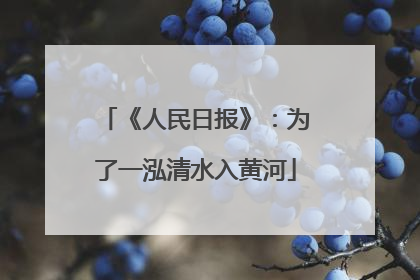 《人民日报》：为了一泓清水入黄河