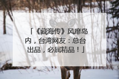 《藏海传》风靡岛内，台湾网友：总台出品，必属精品！