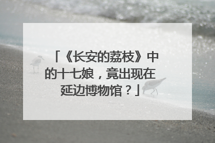 《长安的荔枝》中的十七娘，竟出现在延边博物馆？