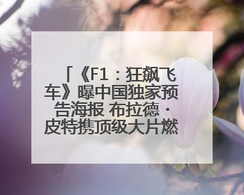 《F1：狂飙飞车》曝中国独家预告海报 布拉德・皮特携顶级大片燃爆暑期
