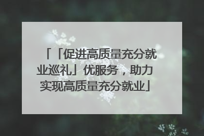 「促进高质量充分就业巡礼」优服务，助力实现高质量充分就业