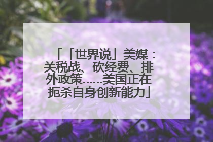 「世界说」美媒：关税战、砍经费、排外政策……美国正在扼杀自身创新能力