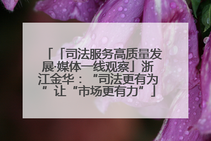 「司法服务高质量发展·媒体一线观察」浙江金华：“司法更有为”让“市场更有力”