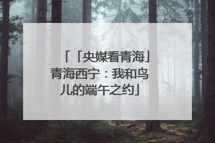「央媒看青海」青海西宁：我和鸟儿的端午之约