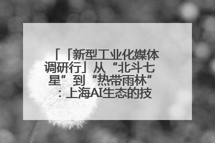 「新型工业化媒体调研行」从“北斗七星”到“热带雨林”：上海AI生态的技术商业共生密码