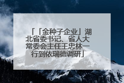 「金种子企业」湖北省委书记、省人大常委会主任王忠林一行到依瑞德调研