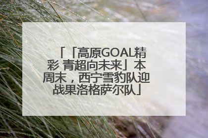 「高原GOAL精彩 青超向未来」本周末，西宁雪豹队迎战果洛格萨尔队