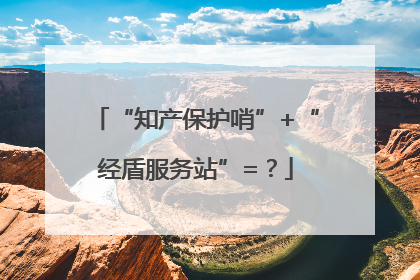 “知产保护哨”+“经盾服务站”=？