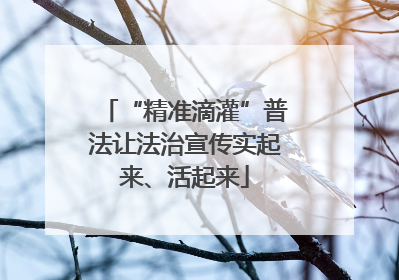 “精准滴灌”普法让法治宣传实起来、活起来