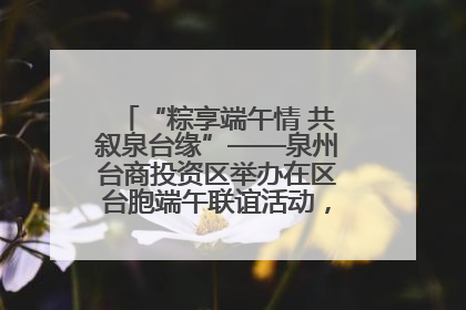“粽享端午情 共叙泉台缘”——泉州台商投资区举办在区台胞端午联谊活动，共话同源深情