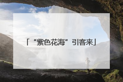 “紫色花海”引客来