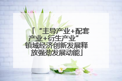 “主导产业+配套产业+衍生产业” 镇域经济创新发展释放强劲发展动能