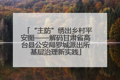 “主防”绣出乡村平安图——解码甘肃省高台县公安局罗城派出所基层治理新实践