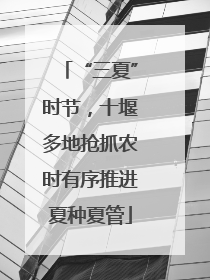 “三夏”时节，十堰多地抢抓农时有序推进夏种夏管