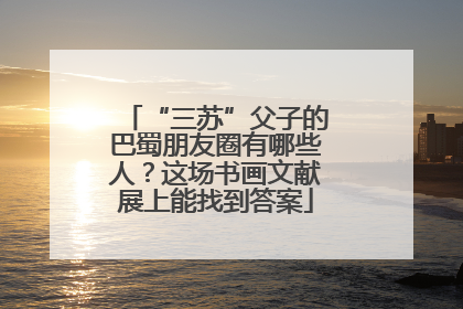 “三苏”父子的巴蜀朋友圈有哪些人？这场书画文献展上能找到答案