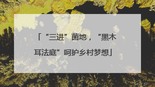 “三进”菌地，“黑木耳法庭”呵护乡村梦想