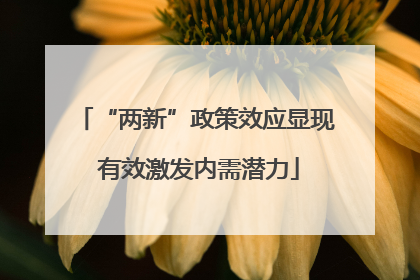 “两新”政策效应显现 有效激发内需潜力