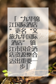 “九华锦江国际酒店”更名“文旅九华国际酒店” 镇江市国企酒店资源整合迈出重要一步