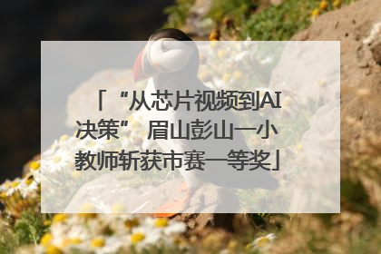 “从芯片视频到AI决策” 眉山彭山一小教师斩获市赛一等奖