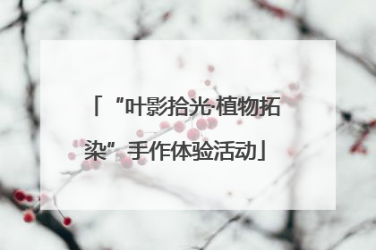 “叶影拾光·植物拓染”手作体验活动