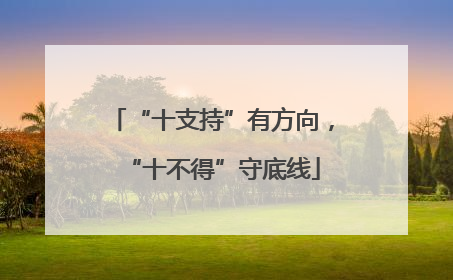 “十支持”有方向，“十不得”守底线