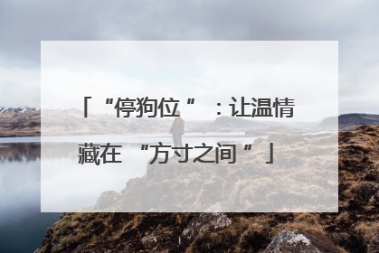“停狗位 ”：让温情藏在 “方寸之间 ”