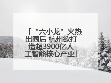 “六小龙”火热出圈后 杭州欲打造超3900亿人工智能核心产业