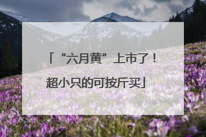 “六月黄”上市了！超小只的可按斤买