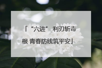 “六进” 利刃斩毒根 青春防线筑平安