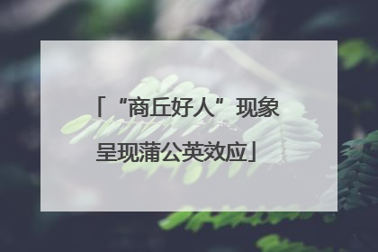 “商丘好人”现象呈现蒲公英效应