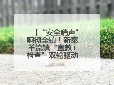 “安全哨声”响彻全镇！新泰羊流镇“宣教+检查”双轮驱动筑牢安全防线