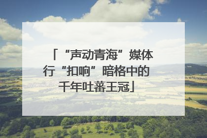 “声动青海”媒体行“扣响”暗格中的千年吐蕃王冠