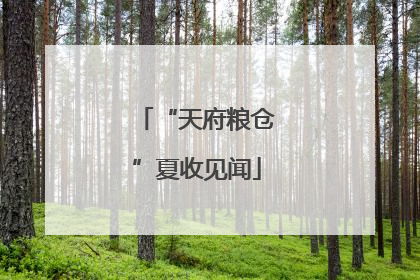 “天府粮仓”夏收见闻
