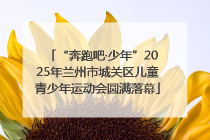 “奔跑吧·少年”2025年兰州市城关区儿童青少年运动会圆满落幕