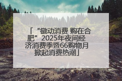 “徽动消费 购在合肥”2025年夜间经济消费季暨66购物月掀起消费热潮