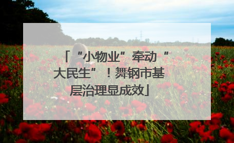 “小物业”牵动“大民生”！舞钢市基层治理显成效