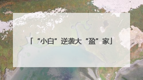 “小白”逆袭大“盈”家