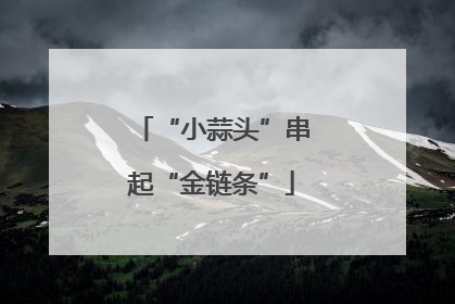 “小蒜头”串起“金链条”