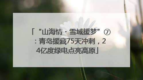“山海情・雪域援梦”⑦：青岛援藏75天冲刺，24亿度绿电点亮高原