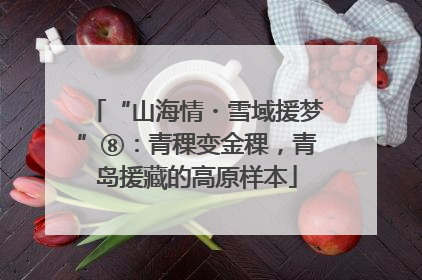 “山海情・雪域援梦”⑧：青稞变金稞，青岛援藏的高原样本