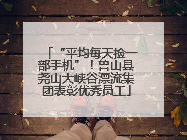 “平均每天捡一部手机”！鲁山县尧山大峡谷漂流集团表彰优秀员工