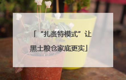 “扎赉特模式”让黑土粮仓家底更实