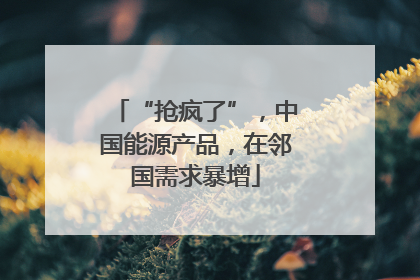 “抢疯了”，中国能源产品，在邻国需求暴增
