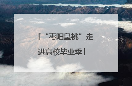 “枣阳皇桃”走进高校毕业季