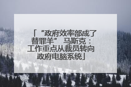 “政府效率部成了替罪羊” 马斯克：工作重点从裁员转向政府电脑系统
