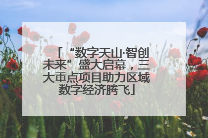 “数字天山·智创未来”盛大启幕，三大重点项目助力区域数字经济腾飞