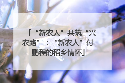 “新农人”共筑“兴农路”：“新农人”付鹏程的稻乡情怀