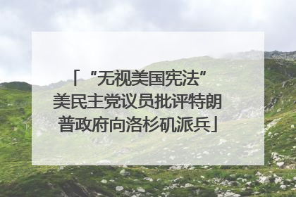 “无视美国宪法” 美民主党议员批评特朗普政府向洛杉矶派兵