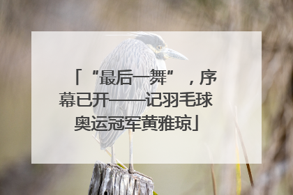 “最后一舞”，序幕已开——记羽毛球奥运冠军黄雅琼